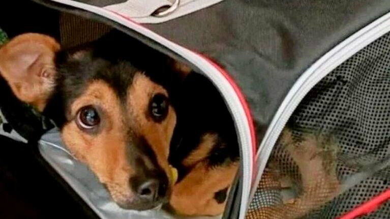 Coco está varado en el aeropuerto y su familia pide ayuda.