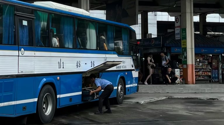 colectivo nueva zelanda