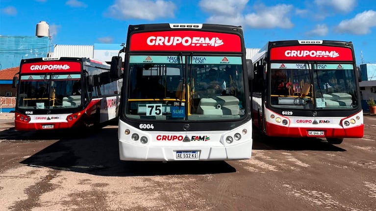 colectivos grupo fam