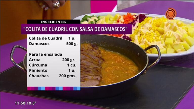 Colita de cuadril con salsa de damascos