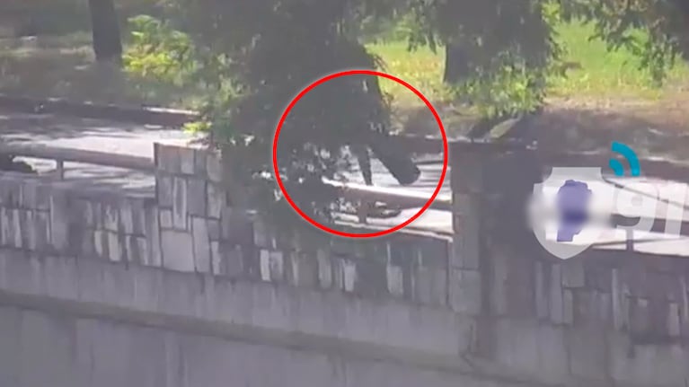 Colocaban gomas en una calle de Córdoba para frenar autos y robarles: el video del momento