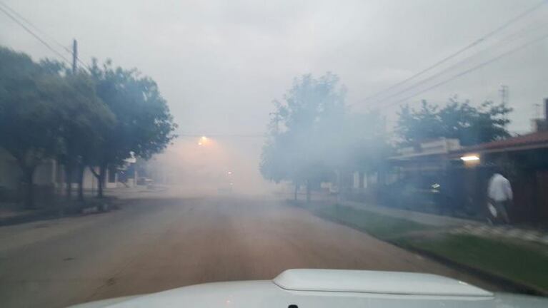Comenzó la fumigación contra el Aedes Aegypti