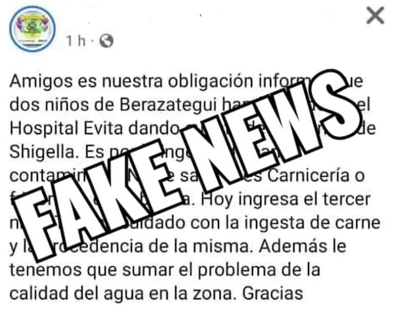 Comieron carne y achuras en mal estado y murieron: tenían Shigella y Salmonella