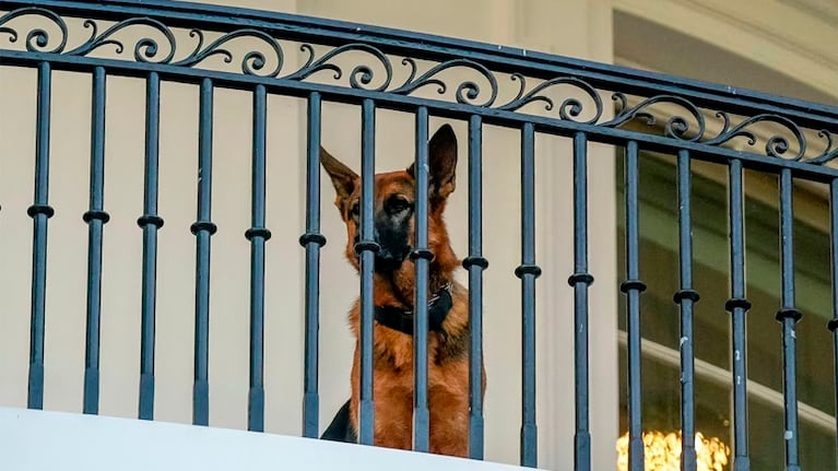 Commander fue visto por última vez el fin de semana en la Casa Blanca. Foto: Reuters.