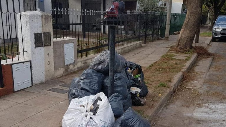 Cómo afectará al transporte el paro en Córdoba 