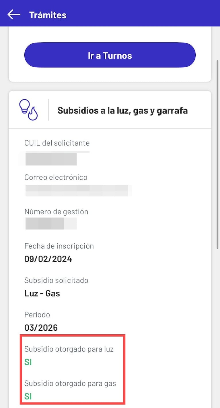 Cómo chequear en dos clics si tenés los subsidios a la luz y el gas antes de la llegada del frío