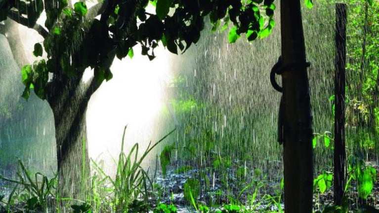 Cómo “cosechar” el agua de lluvia en tres simples pasos