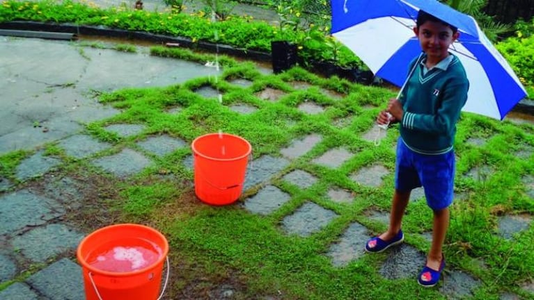Cómo “cosechar” el agua de lluvia en tres simples pasos