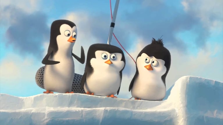Como en Madagascar, los pingüinos hicieron reír al mundo.