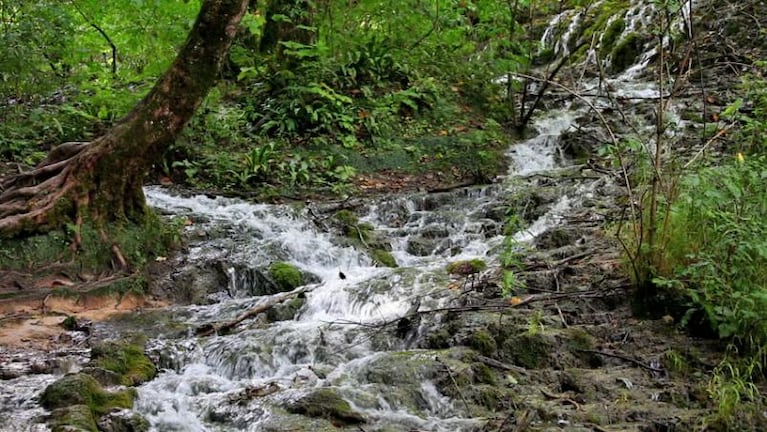 ¿Cómo es el recorrido del agua antes de potabilizarse?