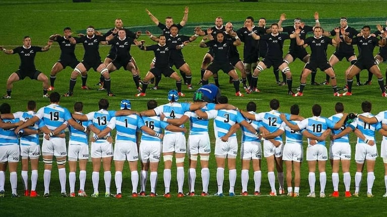 Cómo es la diferente alimentación de cada uno de los equipos.
