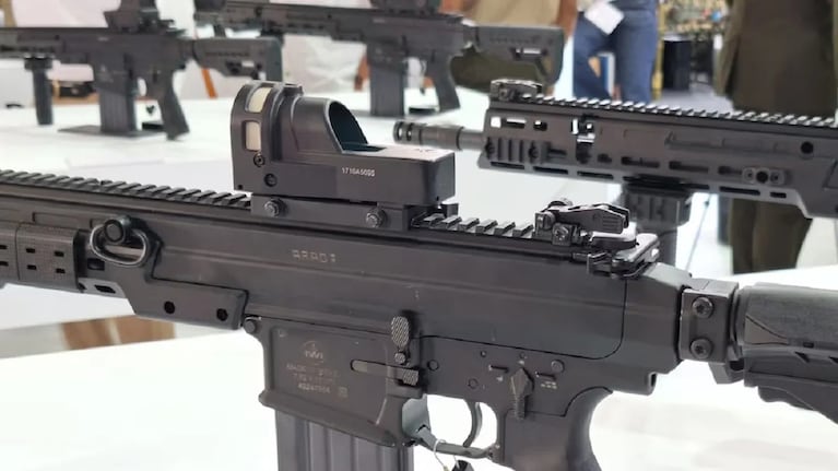 Cómo es la flexibilización de la regulación para el uso de armas semiautomáticas: la opinión de los expertos