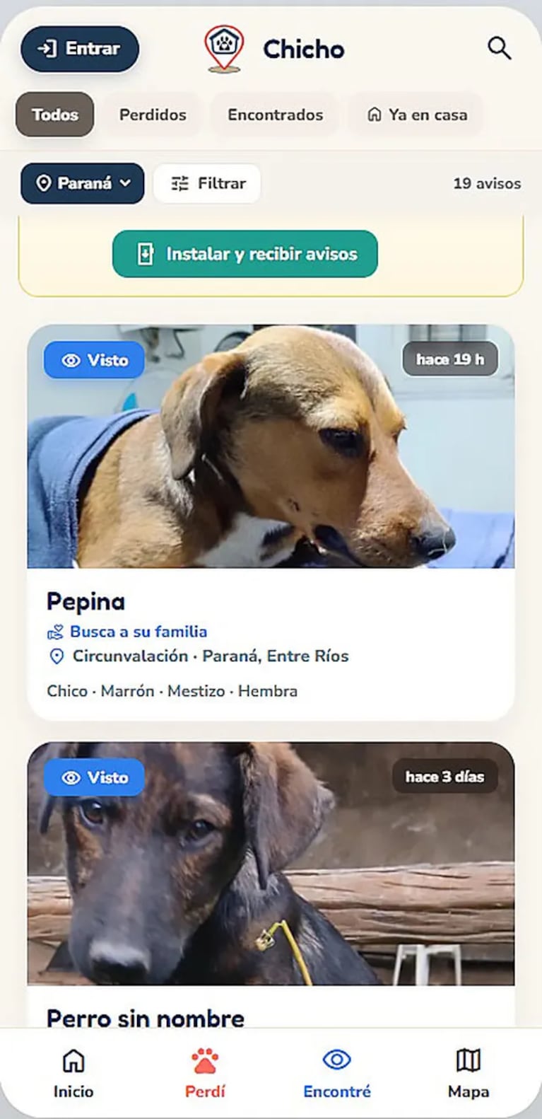 Cómo funciona la app Chicho para encontrar mascotas perdidas en Córdoba.