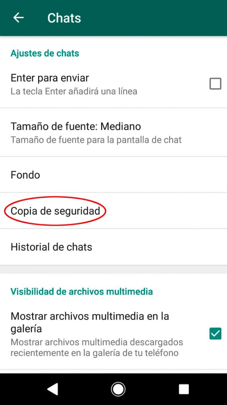 Cómo hacer para que WhatsApp no borre todo tu historial el 12 de noviembre