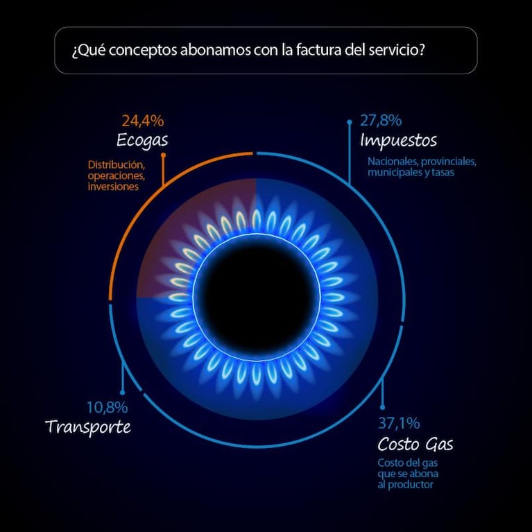 Cómo leer tu factura de Ecogas