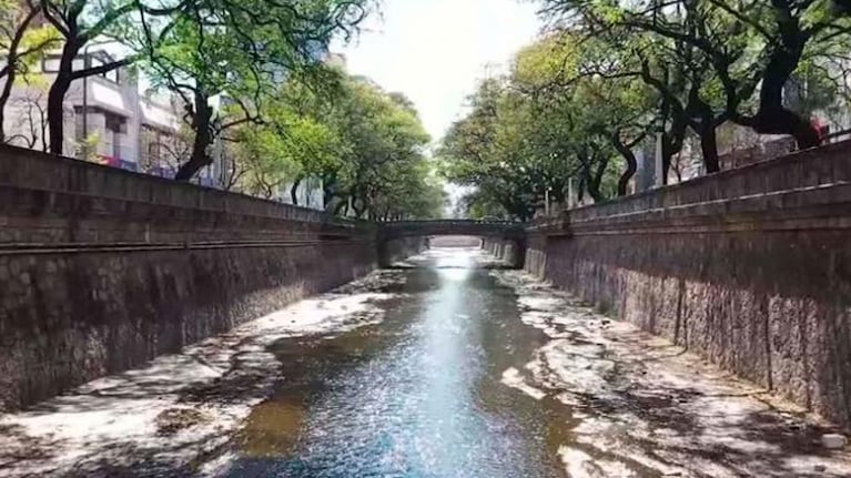 Cómo se despide el otoño en Córdoba.