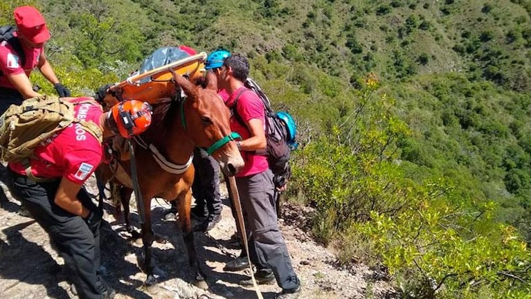 Con ayuda de caballos y mulas, rescataron el cuerpo.