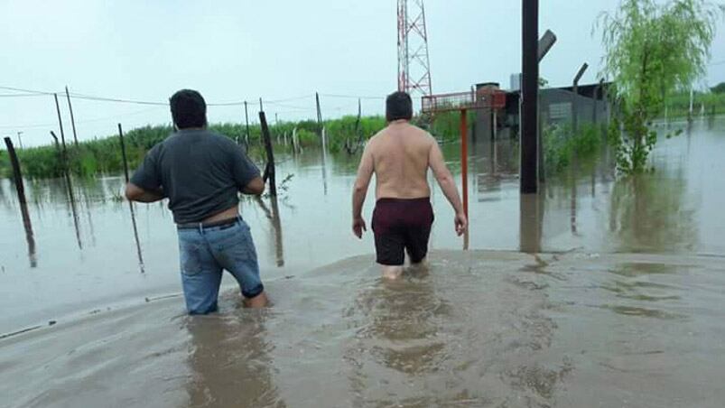 Con el agua arriba de la rodilla, en los campos de la zona.