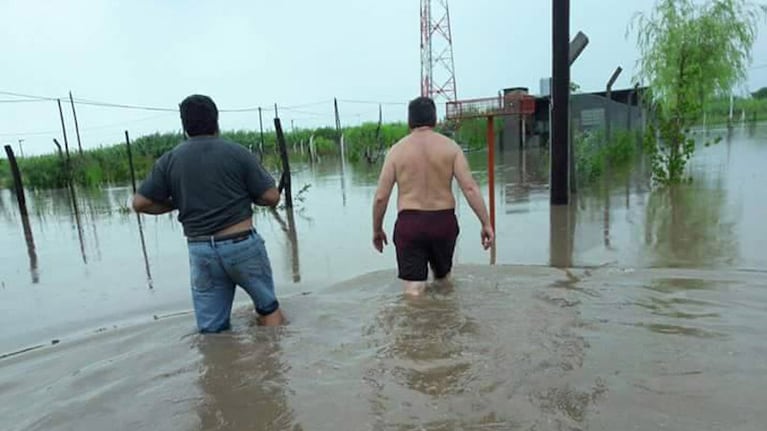 Con el agua arriba de la rodilla, en los campos de la zona.