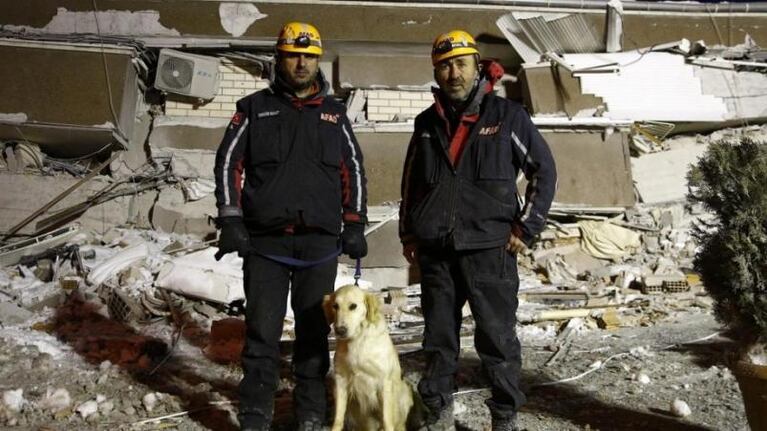 Con las cuatro patas cortadas, un perro salió de los escombros y salvó cinco vidas 