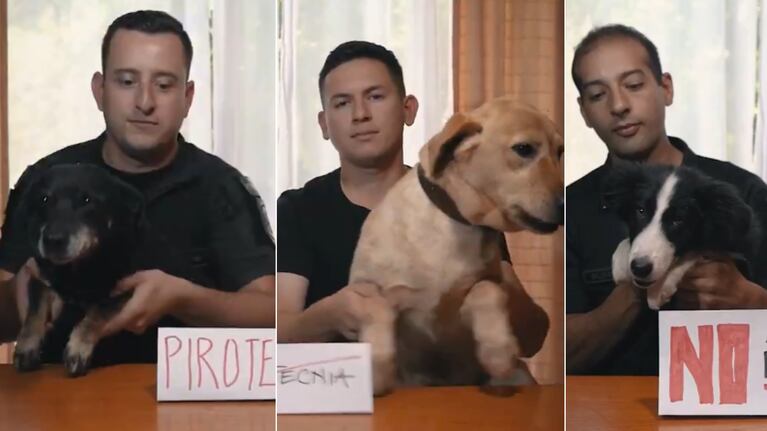 Con mascotas y niños, la Policía de Córdoba concientizó sobre el uso de la pirotecnia: el video