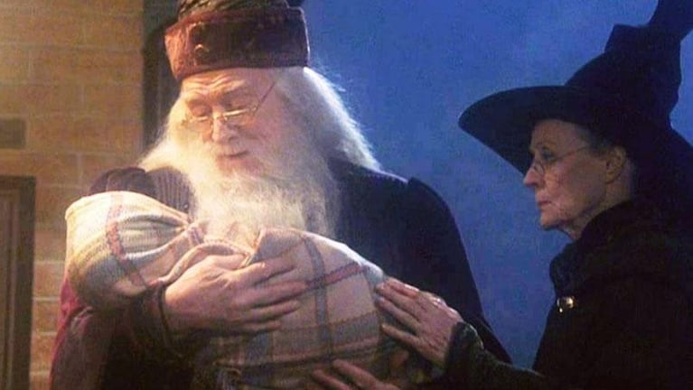 Con una cita de Harry Potter, una jueza falló a favor de que un niño tenga dos papás