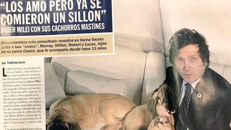 Conan, el perro cordobés de Milei que murió y fue clonado por miles de dólares