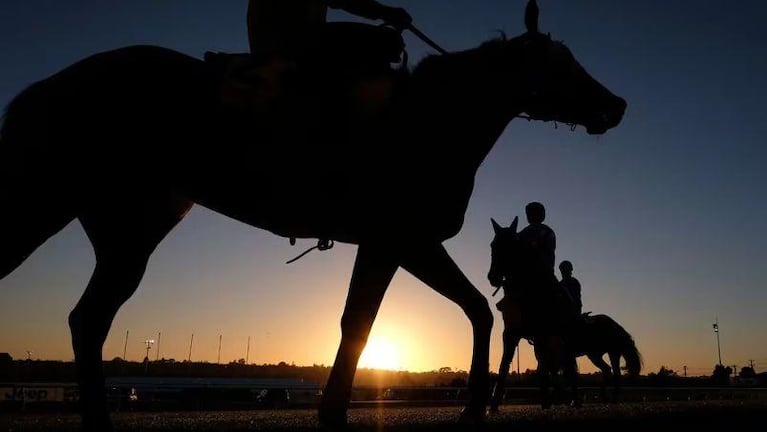 Confirman en Argentina el primer caso humano del virus que ataca a caballos