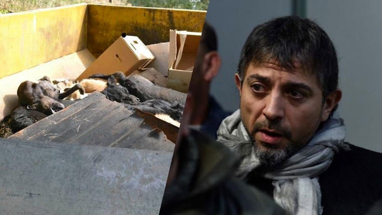 Confirmaron la condena de Germán Facchín por la matanza de perros en Deán Funes.