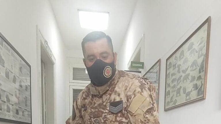 Confirmaron que se trata de tráfico de fauna.