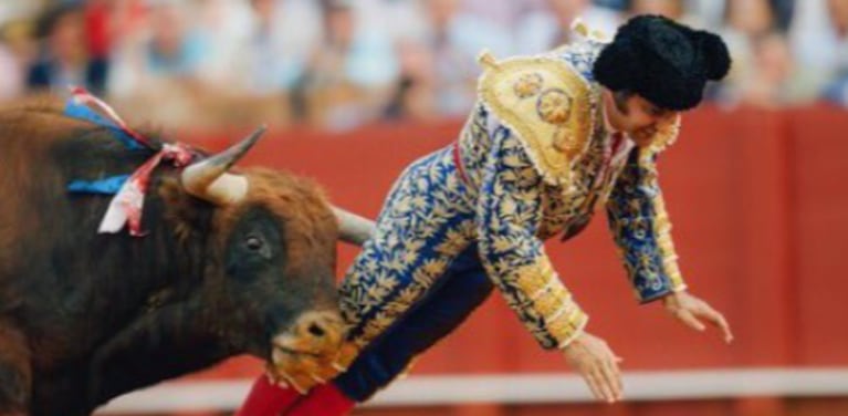 Conmoción por torero atacado que quedó en grave estado.