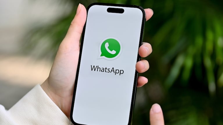 Conocé si tu celular seguirá siendo compatible con la última actualización de WhatsApp. (Foto: Adobe Stock)