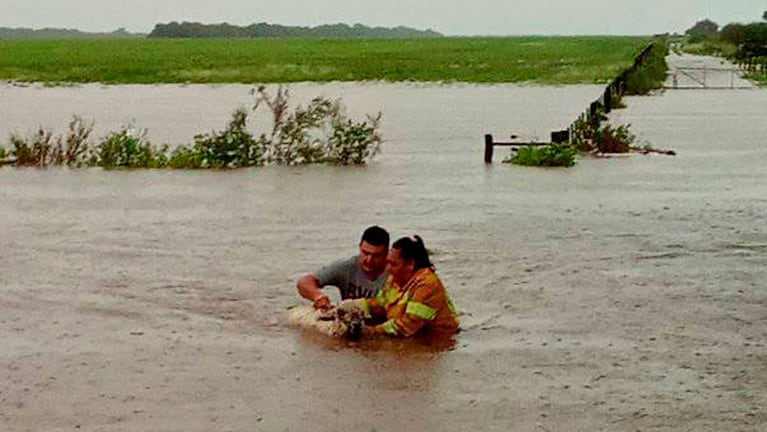 Consecuencias de las intensas lluvias en el norte de Córdoba. Foto: Bomberos Voluntarios de Las Arrias.