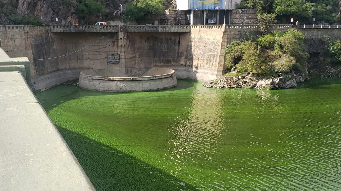 contaminacion lago san roque