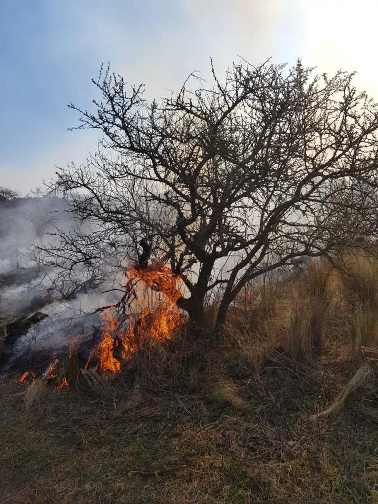 Controlaron los incendios en las Sierras: "Fue una noche de mucho trabajo"