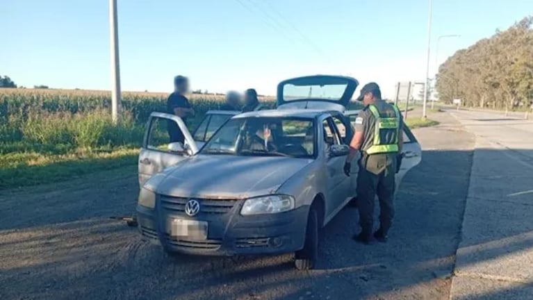 Controlaron un auto y detectaron el traslado ilegal de fauna.