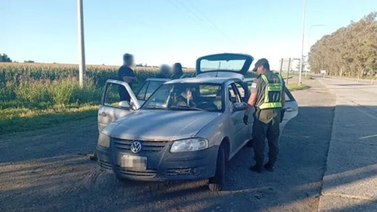 Controlaron un auto y detectaron traslado ilegal de fauna.