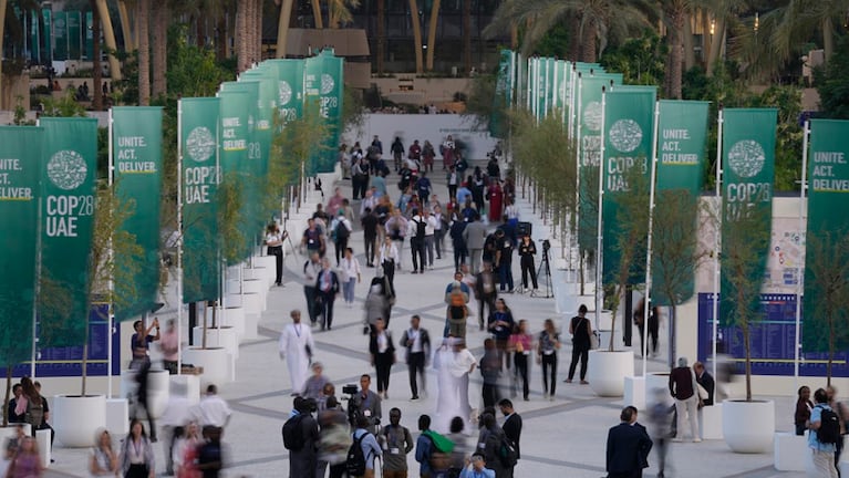 cop28 cambio climatico enviada milei. 