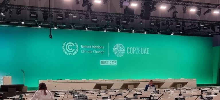 COP28: por qué es clave debatir sobre las pérdidas generadas por el cambio climático