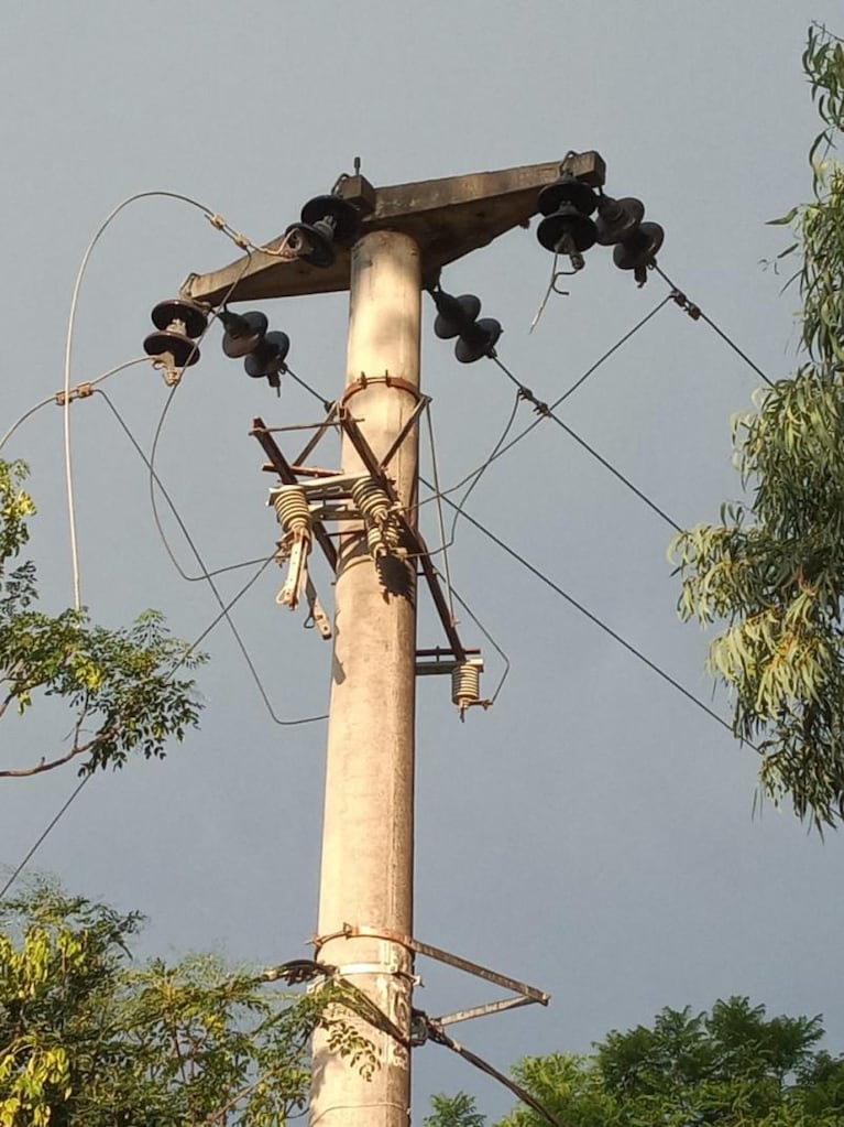 Córdoba: el viento tumbó árboles y hubo cortes de luz en varios barrios