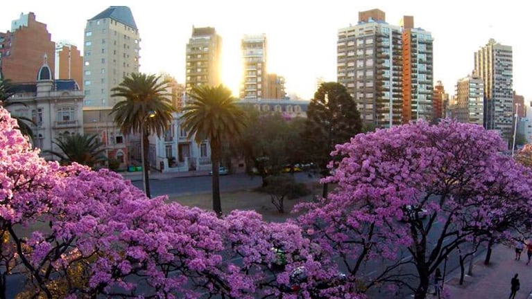 Córdoba encara la primera semana de la primavera.