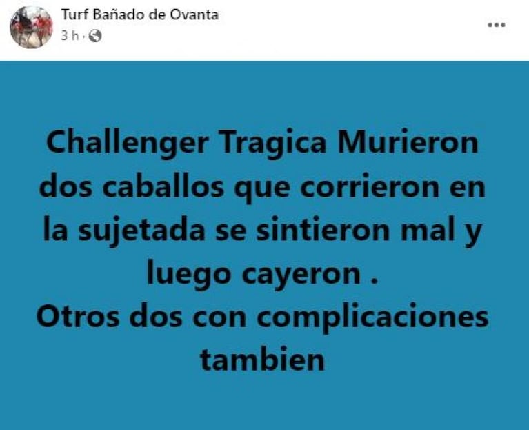 Córdoba: murieron dos caballos en carreras cuadreras en un hipódromo