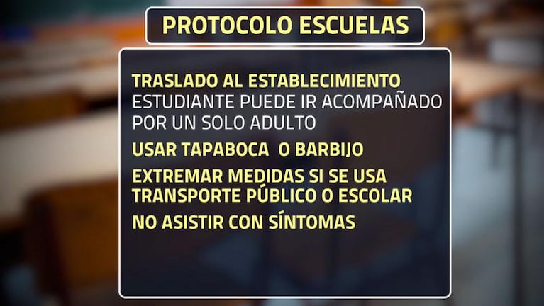 Córdoba prepara un protocolo para retomar las clases presenciales: los puntos clave