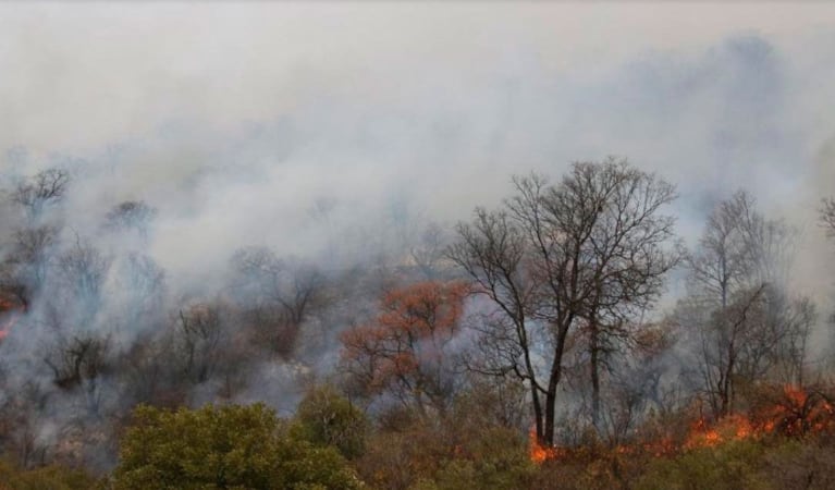 Córdoba se encuentra bajo alerta extrema por el fuego.