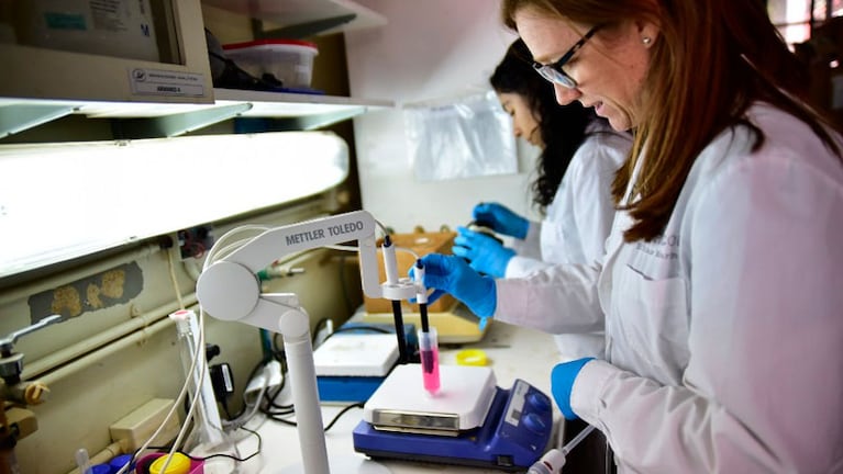 Córdoba tiene una tasa de 150.662 personas estudiadas con PCR por cada 1 millón de habitantes.