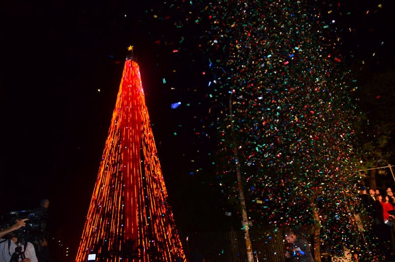 Córdoba ya tiene nuevo arbolito para esperar las fiestas. Foto: Francesco Trombetta / ElDoce.tv.