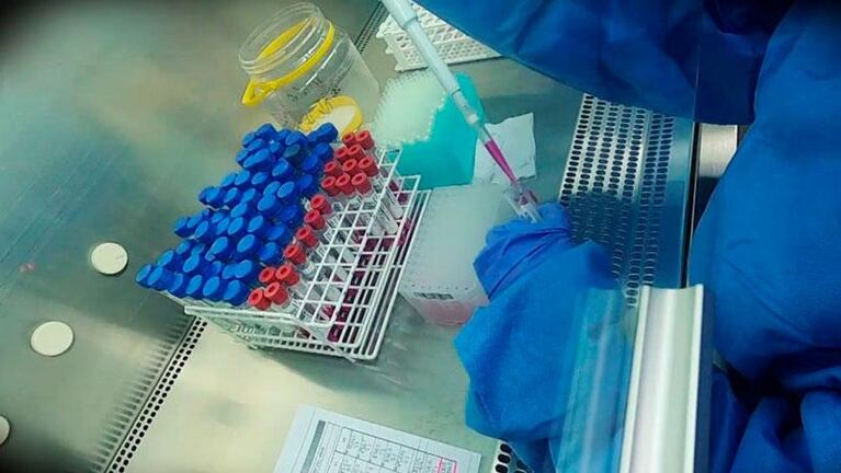 Coronavirus en Córdoba: cómo se hacen los análisis en el Laboratorio Central