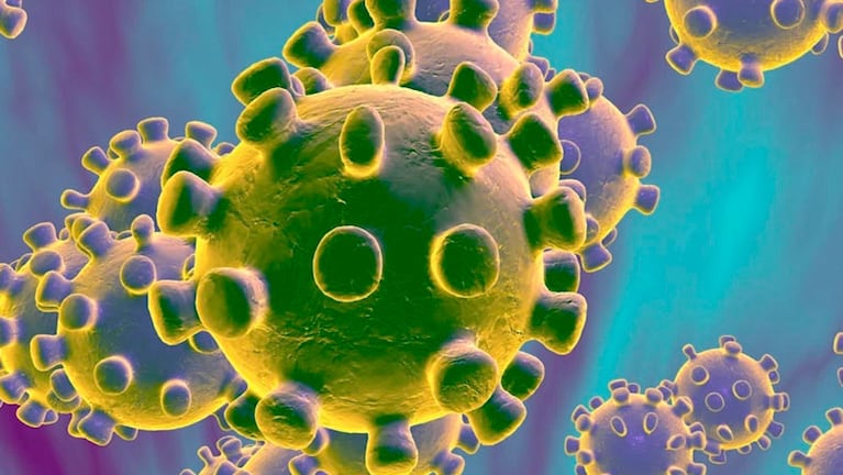 Coronavirus: qué es y lo que hay que saber.