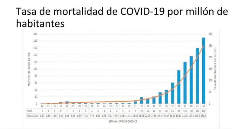 Coronavirus: reconocieron que Córdoba transita el pico de casos tras meses de aislamiento