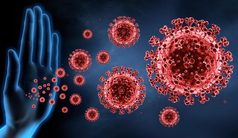 Coronavirus: un nuevo estudio asegura que la inmunidad puede durar años